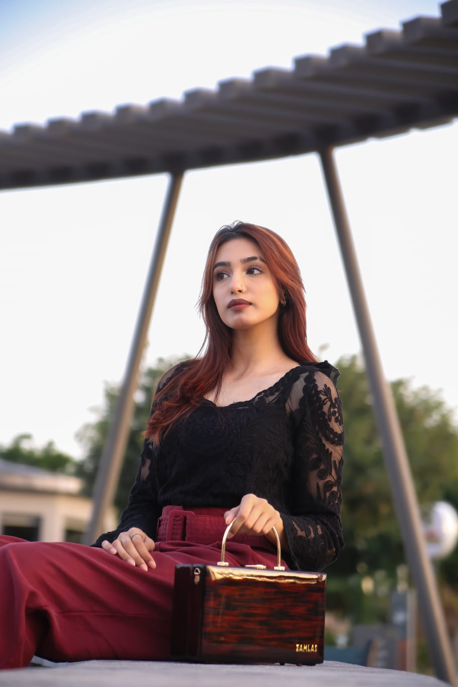 Luxury Sleek box style Bag